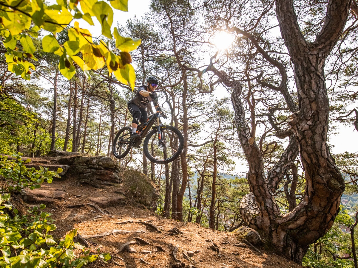 Mountainbike im Dahner Felsenland