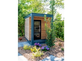 Appartamento per vacanze Den Burg Caratteristiche 20