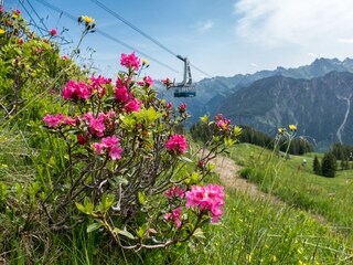 Apartamento de vacaciones Oberstdorf Entorno 18