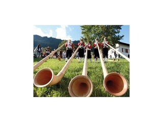 Kleinwalsertal Alphorn Frank Drechsel 3 (c) Frank