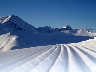 Hintergrund_Kanzelwand-Fellhorn (c)  -