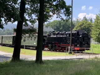 Zittauer Schmalspurbahn von Zittau nach Oybin