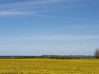 Seeblick bei Rapsblüte