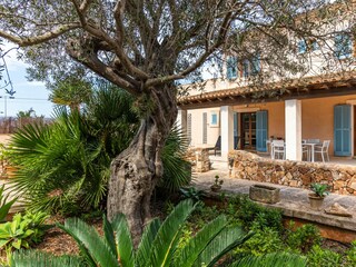 Casa de vacaciones Es Llombards Grabación al aire libre 5