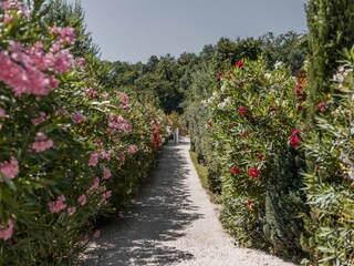 Appartamento per vacanze Kaltern Registrazione all'aperto 9