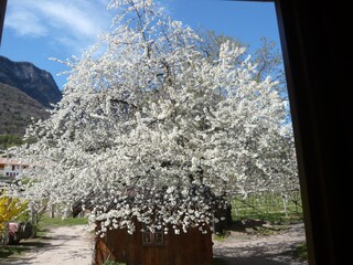 Appartamento per vacanze Kaltern Registrazione all'aperto 3