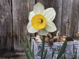 Appartamento per vacanze Kaltern Registrazione all'aperto 5