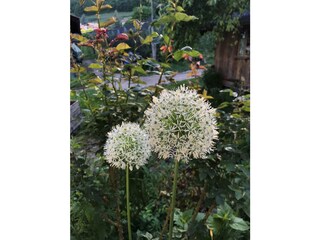 Appartamento per vacanze Kaltern Registrazione all'aperto 6