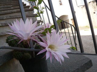 Appartamento per vacanze Kaltern Registrazione all'aperto 7