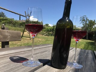 Appartamento per vacanze Kaltern Registrazione all'aperto 8