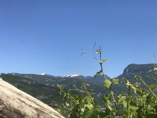 Appartamento per vacanze Kaltern Ambiente 16