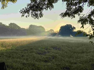 Beeindruckende Natur