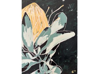 Casa per le vacanze Wölpinghausen Caratteristiche 28