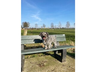 Casa per le vacanze Wölpinghausen Ambiente 37