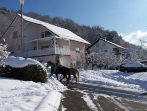 Ferienwohnung 29€ für 2Pers. zusam. Mittelgebirge Spessart - Frammersbach - image1