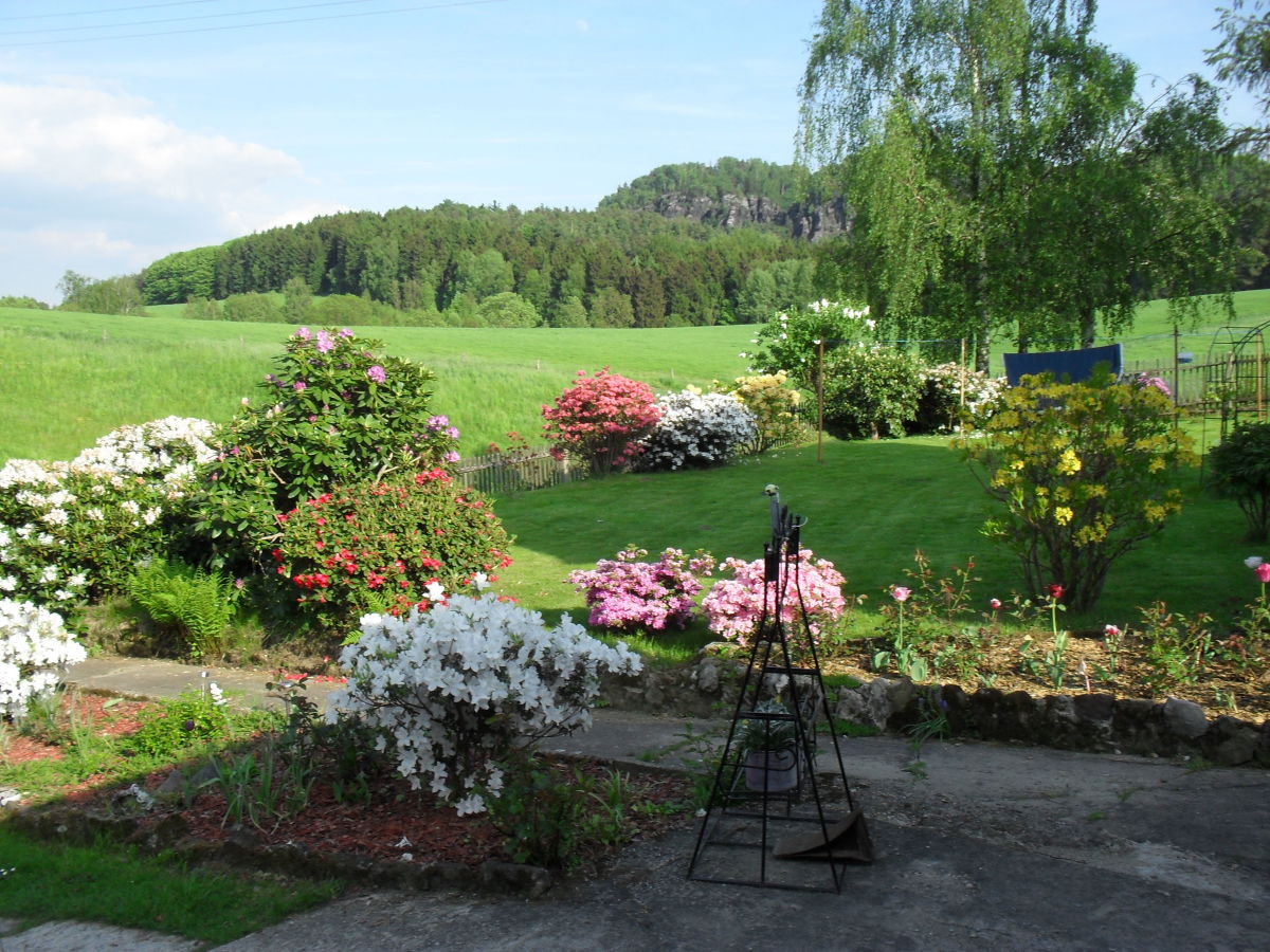 Garten und Blick zum Bärenstein