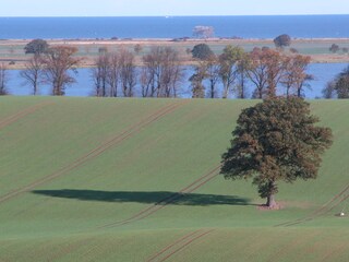 Blick von Stöfs über den Großen Binnensee