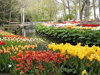 Casa per le vacanze Julianadorp Ambiente 18