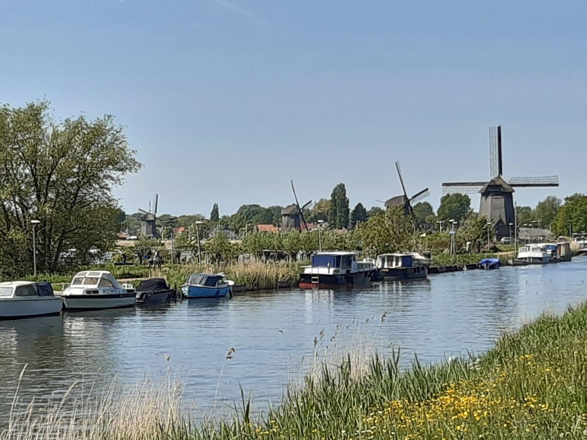 Windmühlen bei Alkmaar