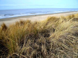 Casa per le vacanze Julianadorp Ambiente 13