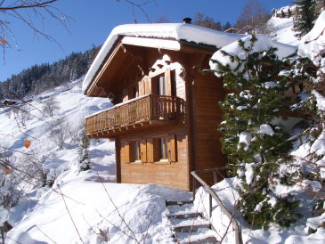 Chalet Salomon, direkt an der Skipiste "4 Vallees"