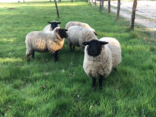 Casa per le vacanze Dötlingen Ambiente 31