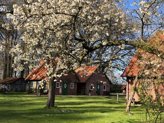 Casa per le vacanze Dötlingen Ambiente 32