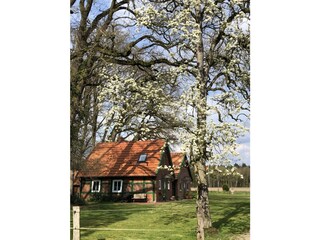 Casa de vacaciones Dötlingen Grabación al aire libre 4