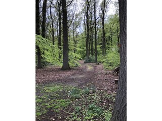 Casa per le vacanze Dötlingen Ambiente 33