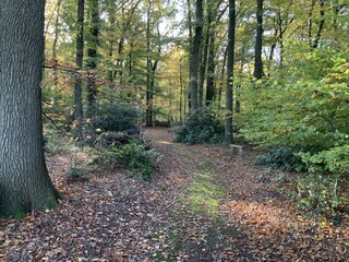 Casa per le vacanze Dötlingen Registrazione all'aperto 11