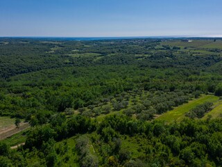 Villa Buje Ambiente 39