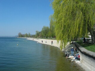Seeufer mit Promenade