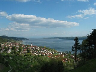 Blick vom Blütenweg