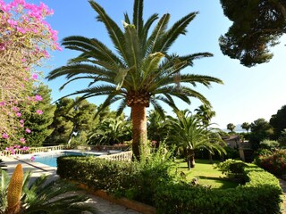 Villa Costa de los Pinos Outdoor Recording 14