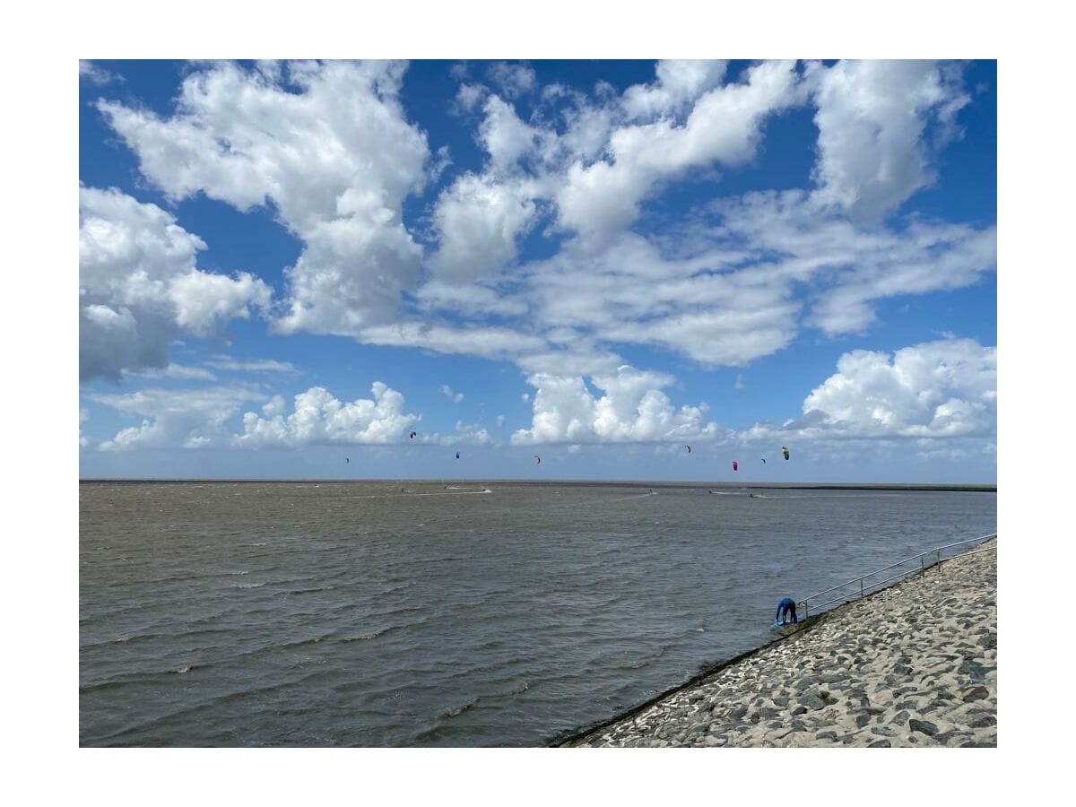 Die Nordsee direkt vor der Haustür