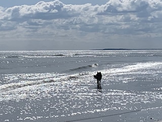 Hunde sind bei uns  ebenfalls willkommene Gäste