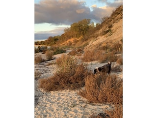 Frühjahr und Herbst am Südstrand