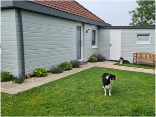 Vakantiehuis Herkingen Buitenaudio-opname 5