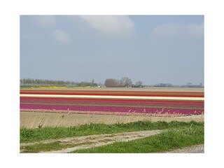 Casa per le vacanze Herkingen Ambiente 32