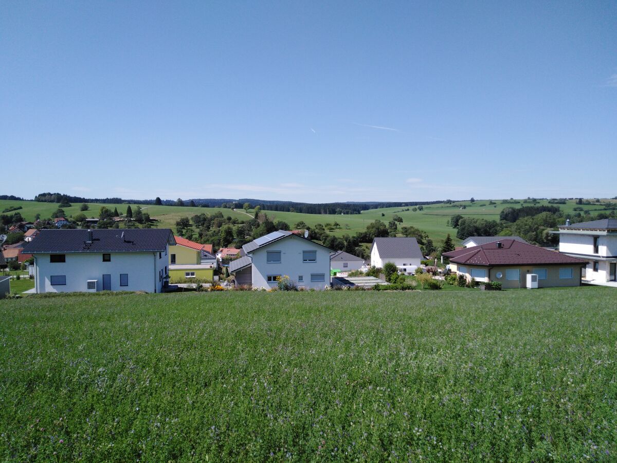 Beim Sparziergang