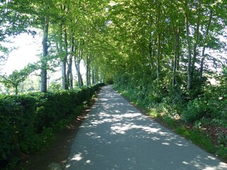 Casa de vacaciones Simmerath Entorno 37