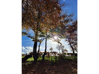 Casa de vacaciones Simmerath Grabación al aire libre 8