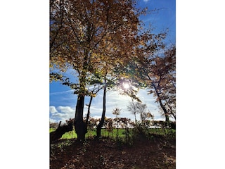 Herbst in Eicherscheid