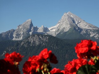 Willkommen am Kälberstein