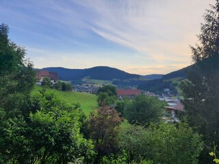 Apartamento de vacaciones Baiersbronn Características 30