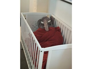 Appartamento per vacanze Baiersbronn Caratteristiche 23