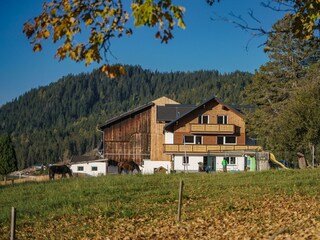 Deluxe Appartement Blasbichlerhof