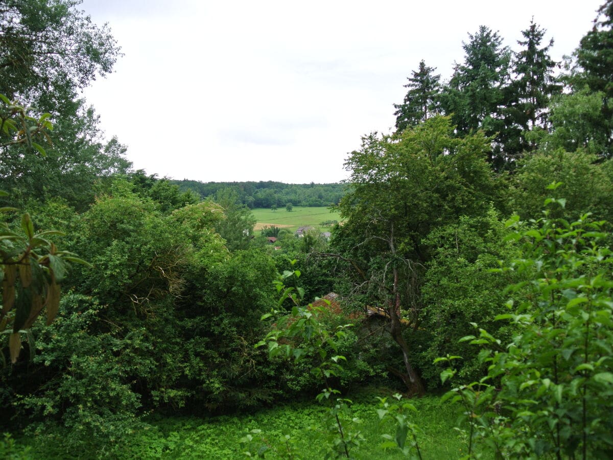 Aussicht von der Terrasse