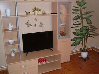 Fernsehschrank mit Fernseher im Wohnzimmer