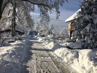 Appartamento per vacanze Hergensweiler Registrazione all'aperto 4